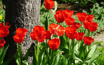 Cosa mi ha insegnato la vita fino ad adesso?