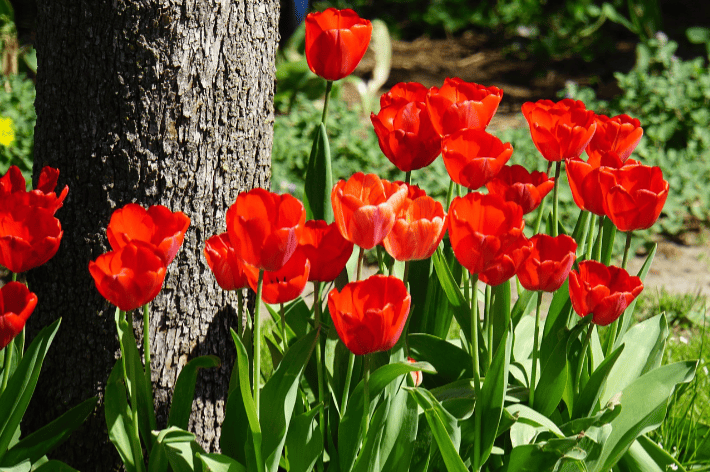 Cosa mi ha insegnato la vita fino ad adesso?